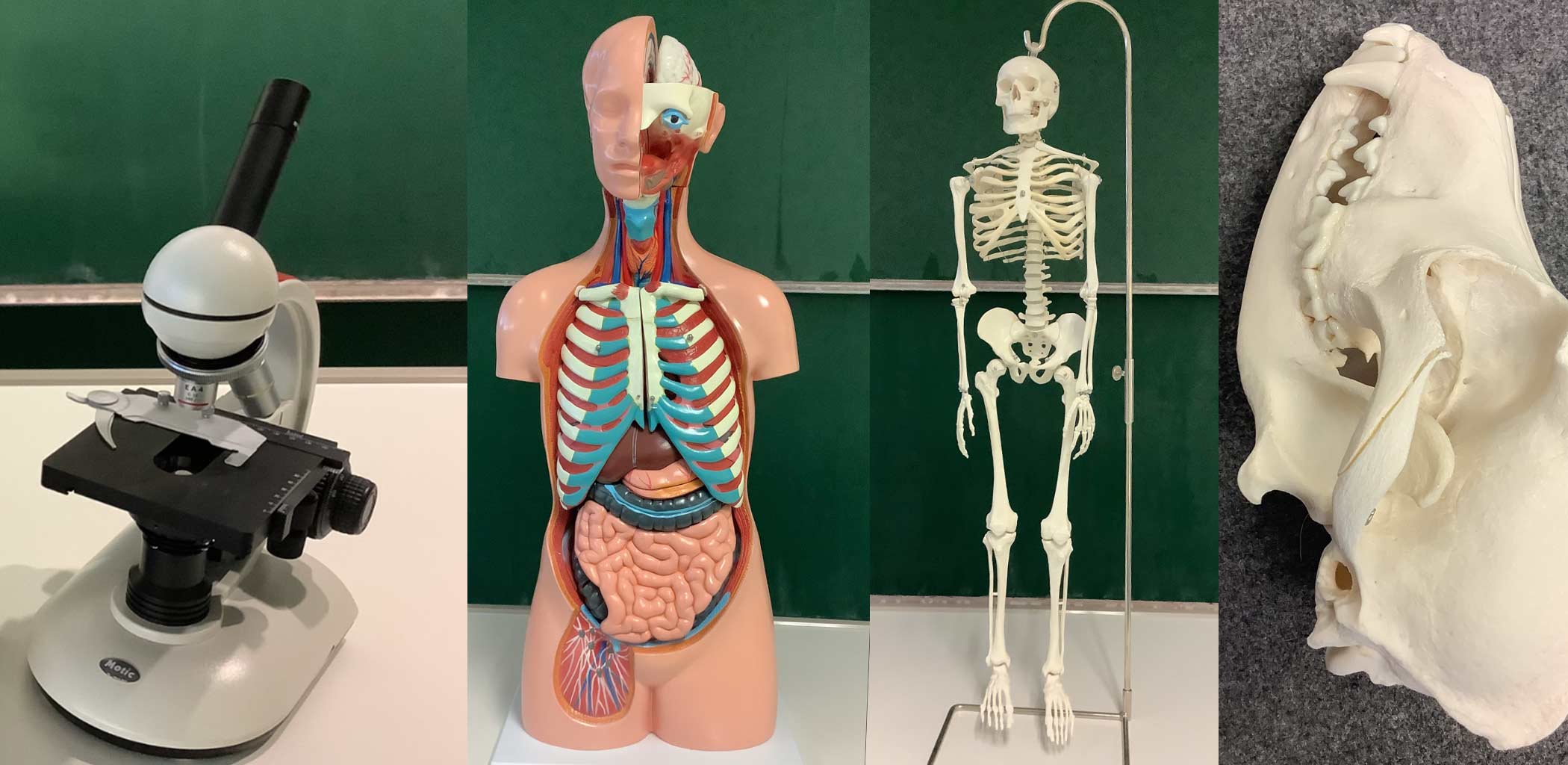 Fachschaft Biologie